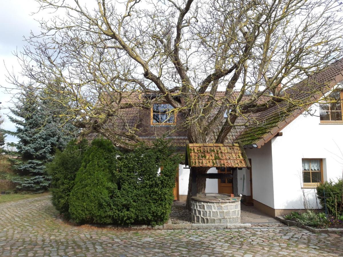 Ein Bett Im Kornfeld - Haus Morgensonne - Mit Innenpool Schonfeld  Exteriör bild