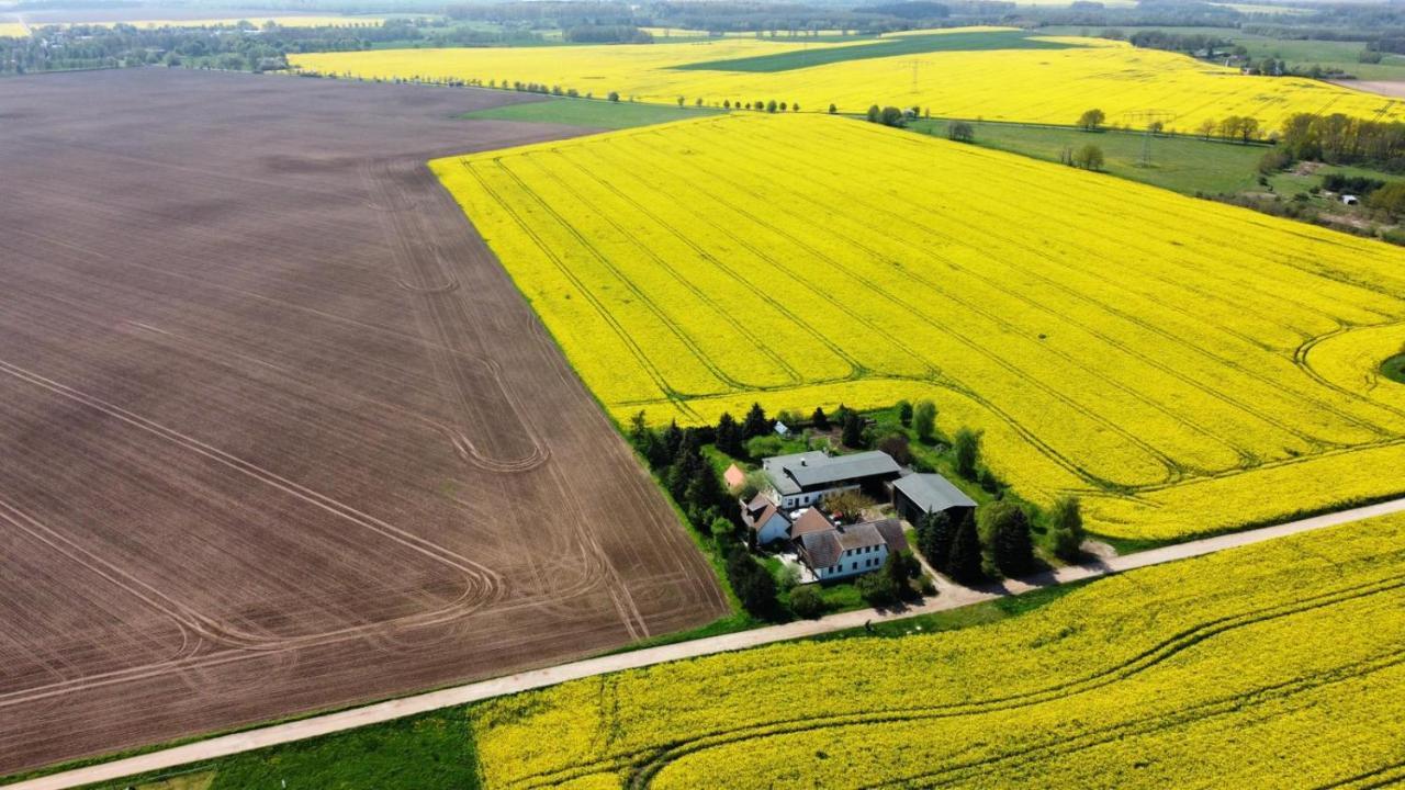 Ein Bett Im Kornfeld - Haus Morgensonne - Mit Innenpool Schonfeld  Exteriör bild