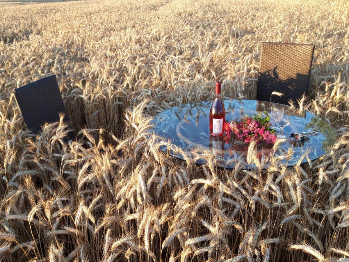 Ein Bett Im Kornfeld - Haus Morgensonne - Mit Innenpool Schonfeld  Exteriör bild