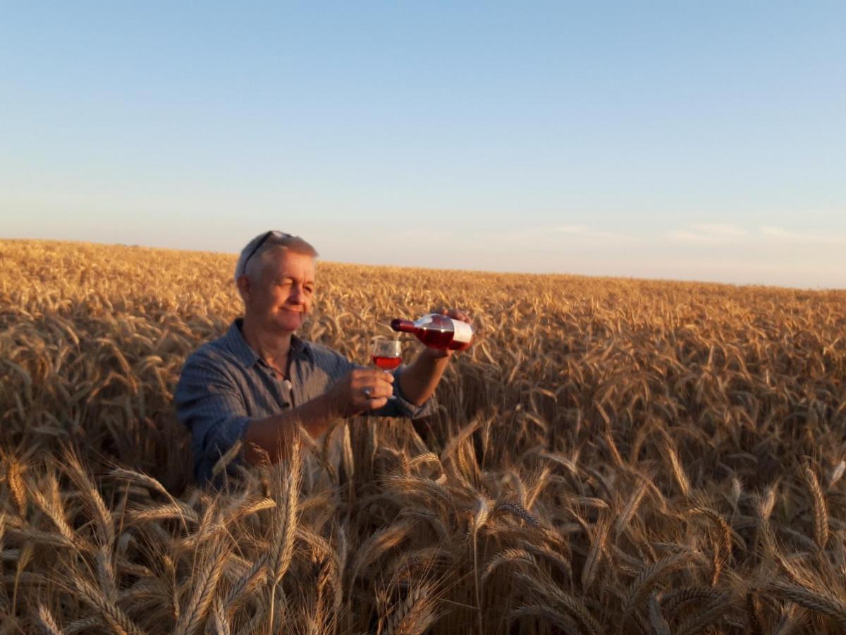 Ein Bett Im Kornfeld - Haus Morgensonne - Mit Innenpool Schonfeld  Exteriör bild