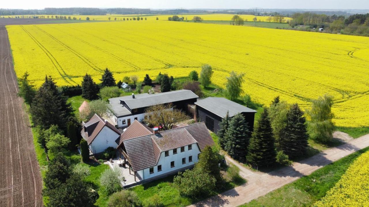 Ein Bett Im Kornfeld - Haus Morgensonne - Mit Innenpool Schonfeld  Exteriör bild